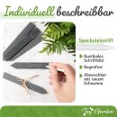Pflanzenschilder Pflanzenstecker aus Schiefer St&auml;bchen 5er Set gro&szlig; (20x3cm)